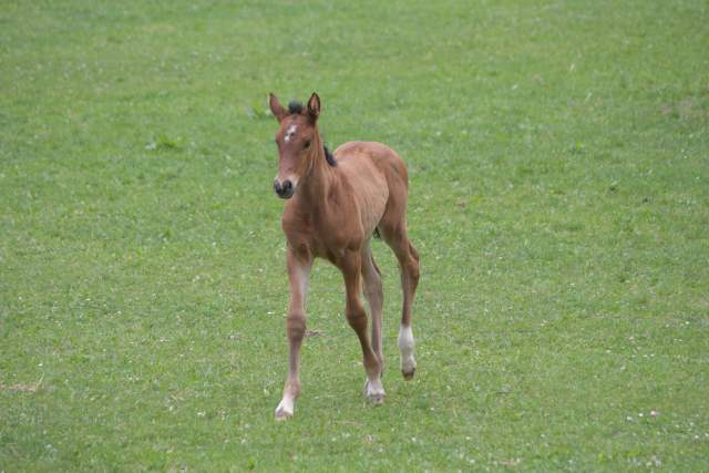 DSC_5892